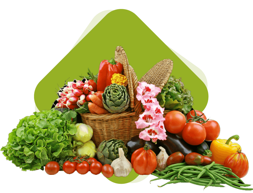 Panier de fruits et légumes bio cultivés à Saint-Laurent-du-Maroni, Guyane