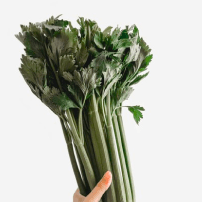 Image des céléri locuax