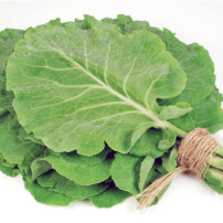 Image du chou cavalier ou couve en portugais