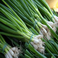 Image des ciboule local