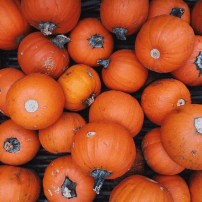 Image des giromon locaux