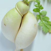 Image du navet local rps agriculture