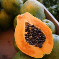 Image de la papaye local a slm