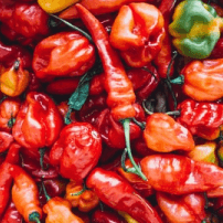 Image des piments fort locaux