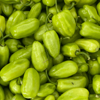 Image des piment végétarien locaux