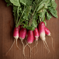 Image des radis locaux